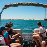 Faro: Deserta Island and Farol Island Catamaran Boat Trip - A Deep Dive Into the Experience