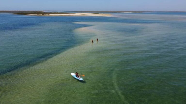 Faro: Private Boat Tour with Oyster Tasting and Sunset - Who Will Love This Tour?