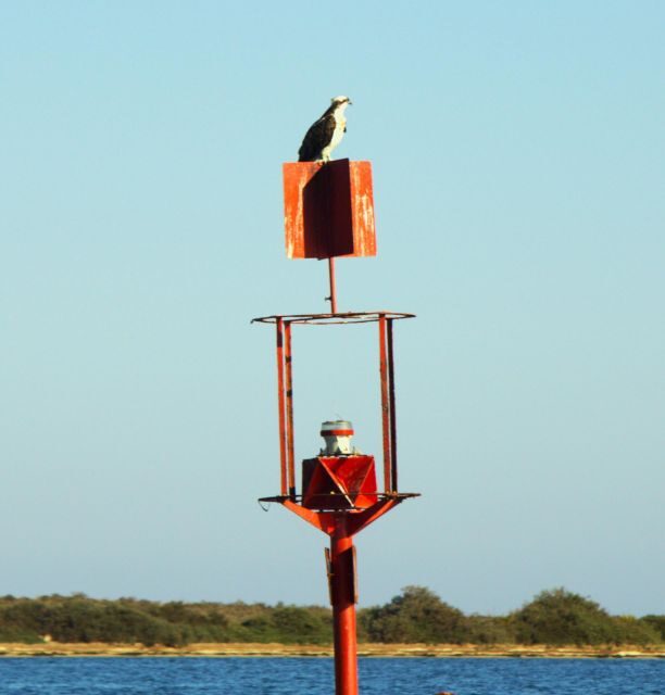 Faro: Pudim Real Boat Tours 6h guided boat tour Ria Formosa - Authentic Insights from Reviewers