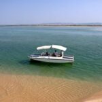 Faro: Ria Formosa Eco Birdwatching Boat Tour - Why This Tour Works Well