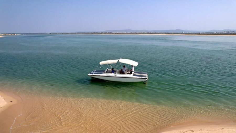 Faro: Ria Formosa Eco Birdwatching Boat Tour - Why This Tour Works Well