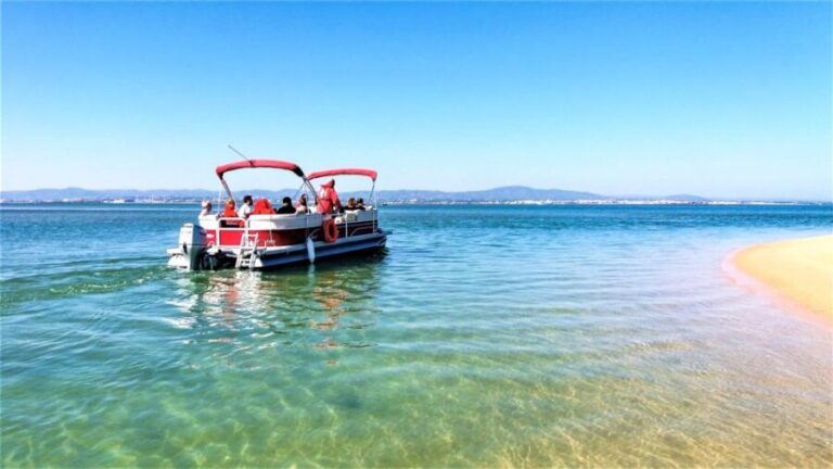 Faro: Ria Formosa Faro Islands Boat Tour - Final Thoughts: Who Should Sign Up?