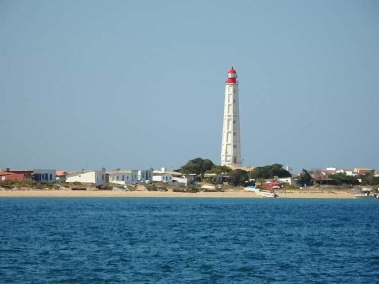 Faro: Ria Formosa - The Grand 3 Islands Boat Tour - Final Thoughts
