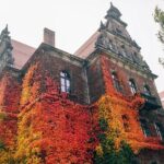 Fascinating Highlights of Wroclaw - Walking Tour - What to Expect from the Stops