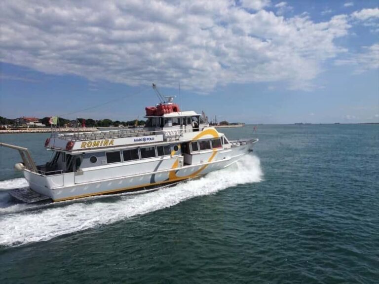 Fast Cruise to Venice from Punta Sabbioni-Cavallino-Treporti - Additional Details: What’s Included and What’s Not