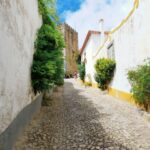 Fátima, Óbidos and Nazaré - Full Day Tour - Discover the Magic of Portugal - Practical Details: What You Need to Know