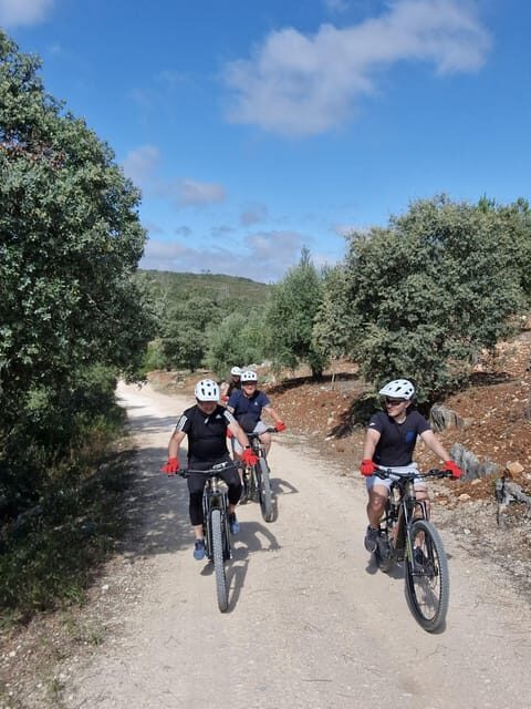 Fátima: Sanctuary, Castle & Gastronomy - All-iN E-bike Tour - Exploring the Route: What You Can Expect