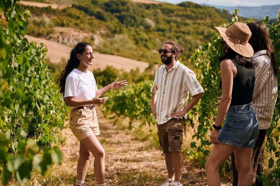 Fattoria La Leccia, Monterspertoli: vineyard walk & tasting - The Vineyard Walk — A Closer Look