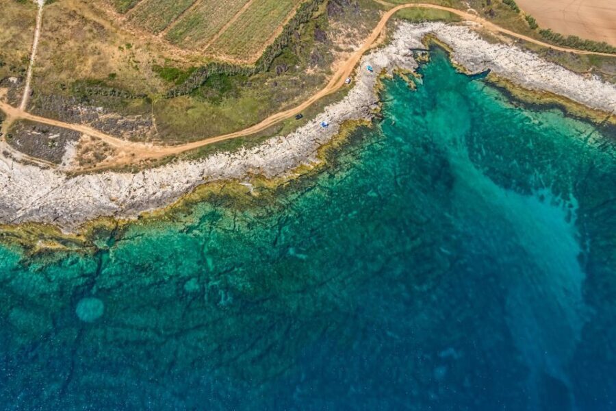 Fazana: Brijuni National Park Scenic Boat Tour - What to Expect from the Experience