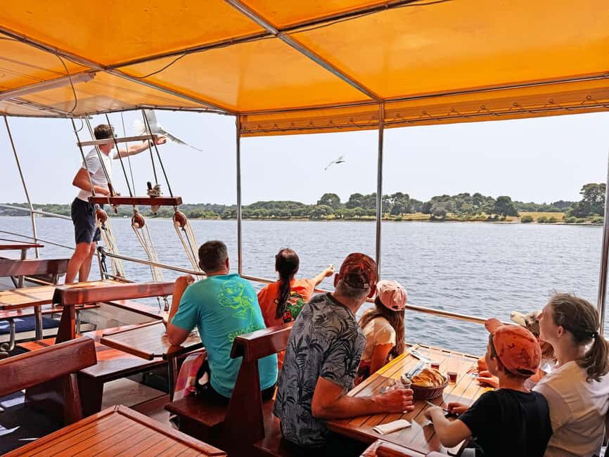 Fazana: Eco Friendly Brijuni Dolphins with Dinner & Drinks - Who Should Consider This Tour?