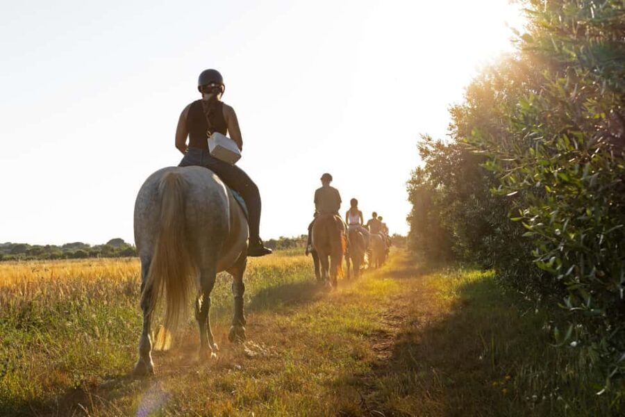 Fazana: Sunset 1-hour Horse Riding in Nature with Guide - What’s Included and Practical Details