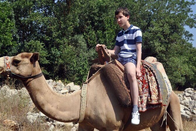 Fethiye Camel Riding at Gosht Town - The Itinerary and Highlights