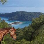 Fethiye Horse Riding Experience - Who Will Love This Experience?