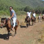 Fethiye Horse Safari - Authentic Insights from Past Travelers