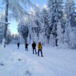 Fichtelgebirge: snowshoe hike - Who Should Consider This Tour?