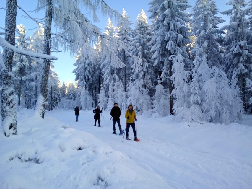 Fichtelgebirge: snowshoe hike - Who Should Consider This Tour?