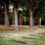 FILANDETTA PARK WINE & ART FARM: FOUNDER'S TOUR - A Deep Dive into the Filandetta Experience