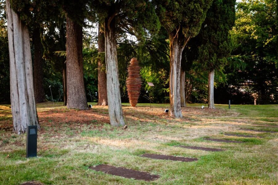 FILANDETTA PARK WINE & ART FARM: FOUNDER'S TOUR - A Deep Dive into the Filandetta Experience