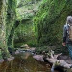 Find a hidden Glen in Scotland's woods - Authenticity and Unique Aspects