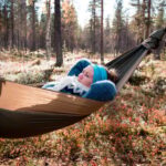 Finland Levi: Arctic Cocooning Experience in HaliPuu Forest - The Itinerary in Detail