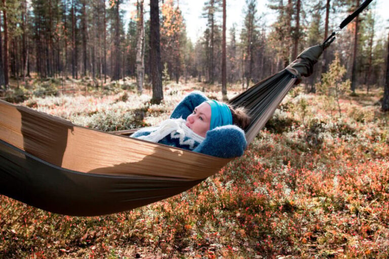 Finland Levi: Arctic Cocooning Experience in HaliPuu Forest - The Itinerary in Detail