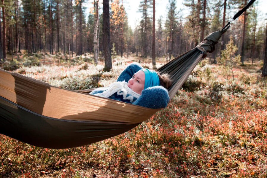 Finland Levi: Arctic Cocooning Experience in HaliPuu Forest - The Itinerary in Detail