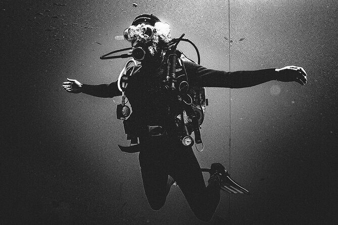 First Dive Experience in Tenerife - The Marine Environment and What Youll See