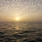 fishing charter 4h - What to Expect from the Tenerife Fishing Charter 4h