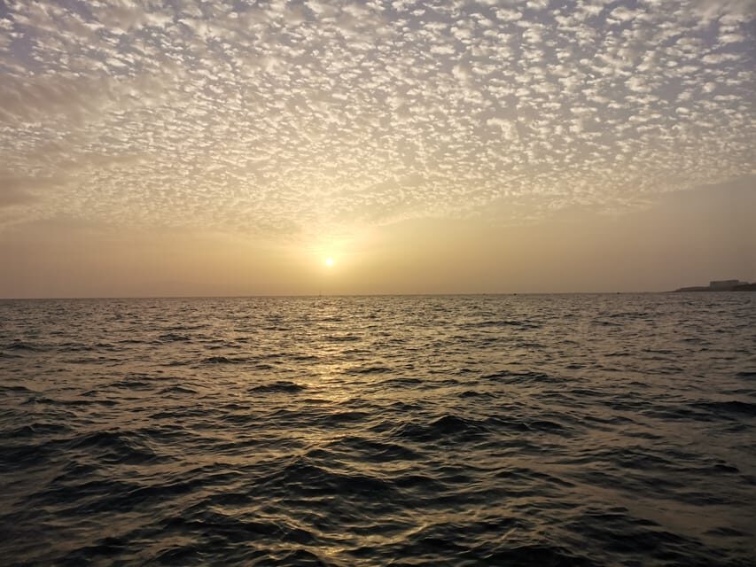 fishing charter 4h - What to Expect from the Tenerife Fishing Charter 4h