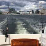 Fishing in Oslo Fjord - The Sum Up