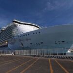 Fiumicino airport to Civitavecchia - Private Transfer - What to Expect at the Airport Pickup