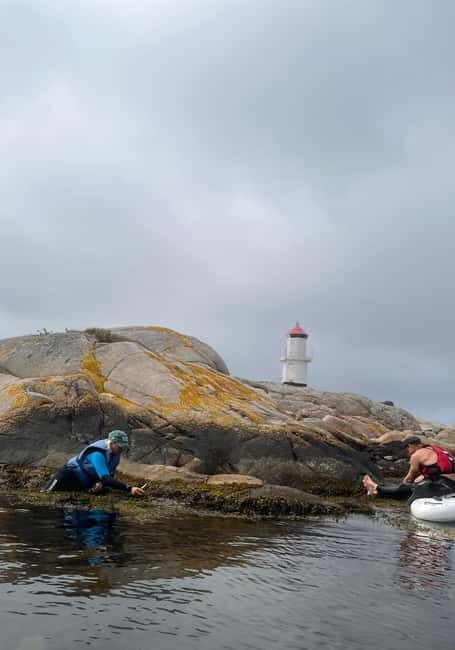 Fjällbacka: Seaweed Picking and SUP Paddling Tour - Why This Tour Offers Great Value