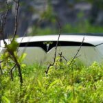 Fjord Sightseeing - Eco friendly Tesla Model X - Why This Tour Stands Out