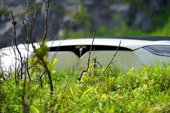 Fjord Sightseeing - Eco friendly Tesla Model X - Why This Tour Stands Out