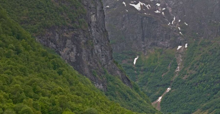 Fjords: Private Trip with Train and Cruise Ride - The Bergen Railway: An Hour of Scenic Rail Travel
