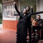 Flamenco Show at Casa de la Memoria Admission Ticket - Who Should Book This Tour?