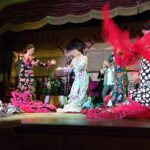 Flamenco Show at El Palacio Andaluz Admission Ticket - Who Will Love This Experience?