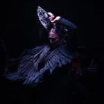 Flamenco Show at the Tablao Flamenco la Carmela - Final Thoughts