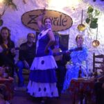 Flamenco Show in Cueva Zincalé - FAQs
