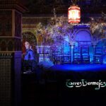 Flamenco Show & Special Menu at Torres Bermejas in Madrid - The Value Proposition