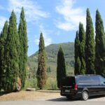 Florence & Pisa Tour by van from Lucca or Livorno port - What the Reviews Say