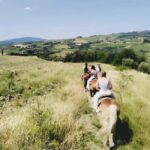 Florence: Tuscan Countryside Horseback Ride - Additional Similar Experiences