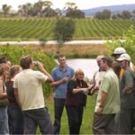 Florentine Steak with Wines in San Gimignano Winery from Florence - Authentic Insights from Reviewers