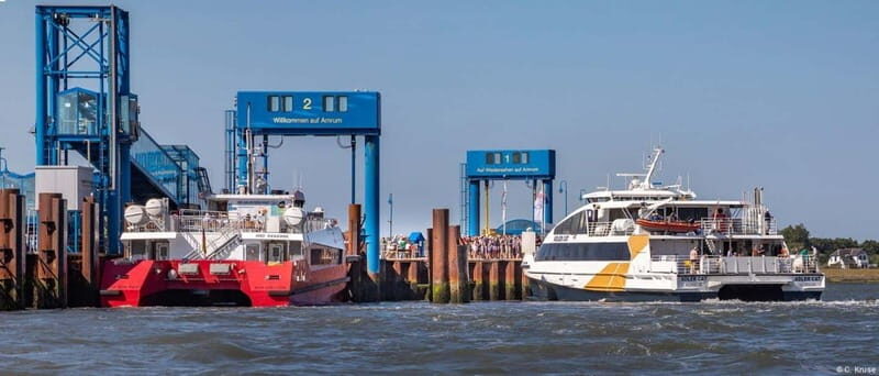 Föhr: Day trip by boat to Hallig Hooge - Deep Dive into the Itinerary