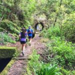 Folhadal Hidden Treasures Running Tour (Moderate) - FAQs