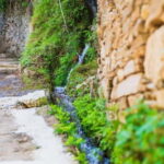 Follow the riverside hiking tour (Small group experience) - A Detailed Look at the Riverside Hiking Experience