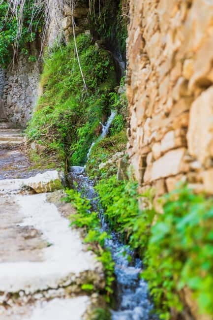 Follow the riverside hiking tour (Small group experience) - A Detailed Look at the Riverside Hiking Experience