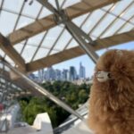 Fondation Louis Vuitton: Ticket Entry & Private Tour - Practical Information