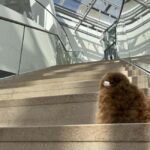 Fondation Louis Vuitton: Ticket Entry & Private Tour - Who Would Love This Tour?