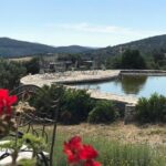 Food and Wine pairing Dinner at Karnas Vineyards Bodrum - Practical Considerations